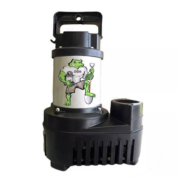 Anjon Big Frog Eco-Drive 4,200 GPH