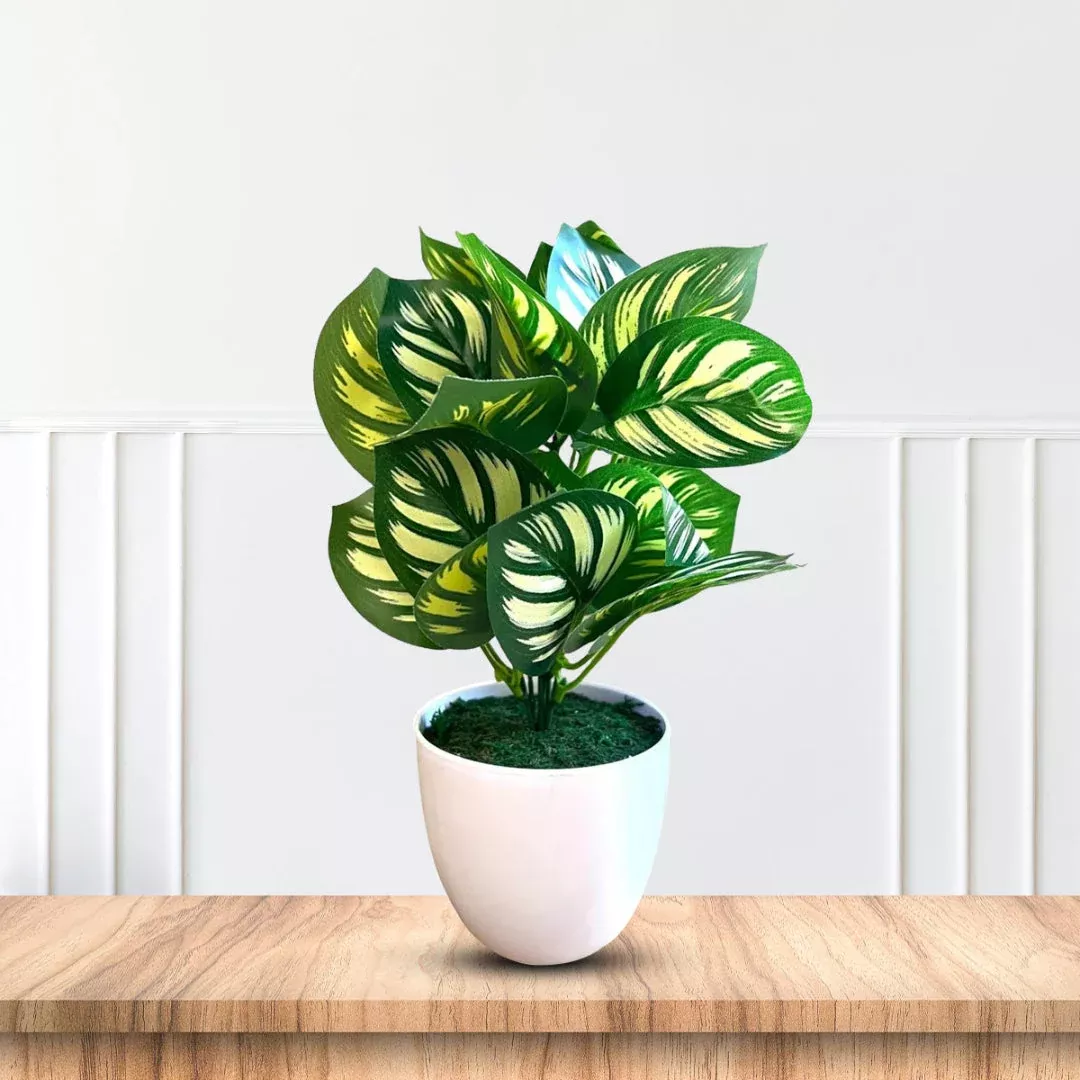 Artificial Green Potted Succulent – 11-Inch | Pixies Gardens
