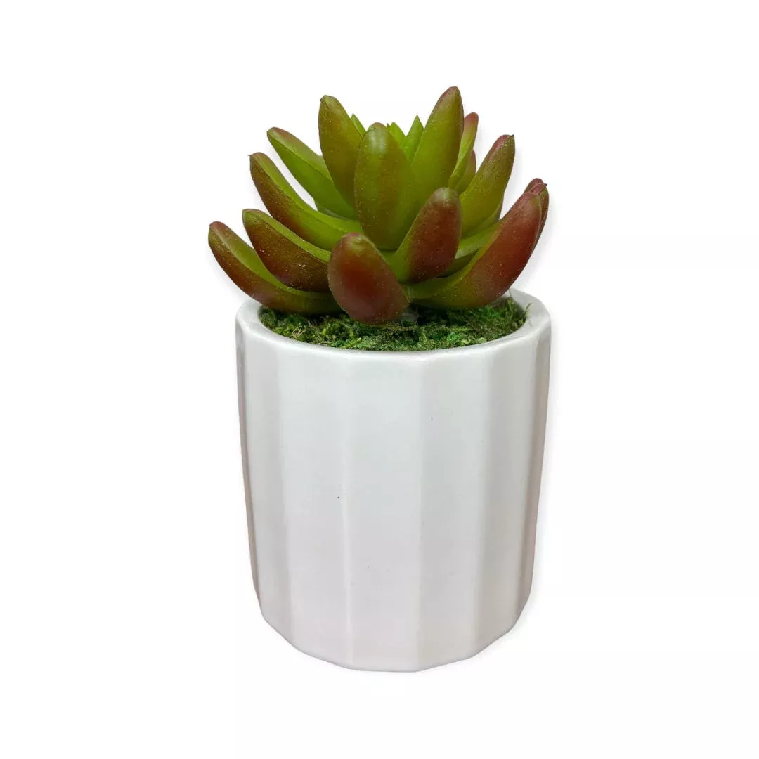 Artificial Succulent in Ceramic Pot – Lifel | Pixies Gardens