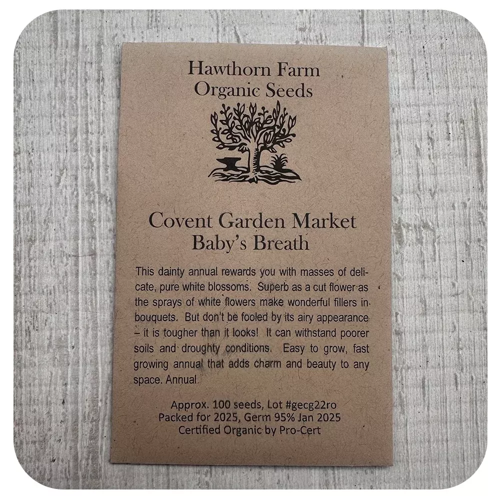 Baby's Breath Seeds (Organic)