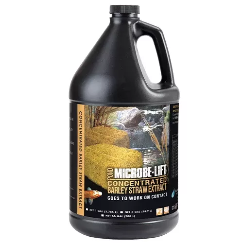 Barley Straw Concentrate Extract 1 gal