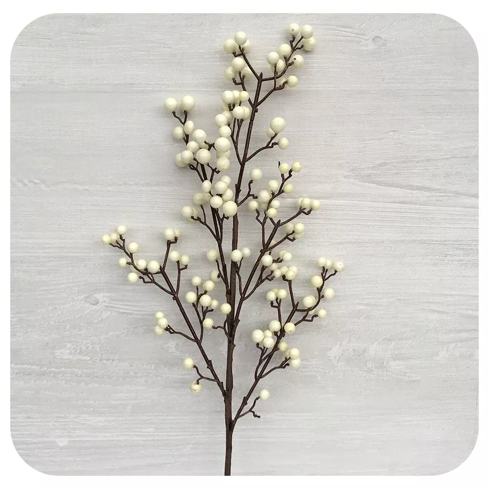 Berry Stem - White
