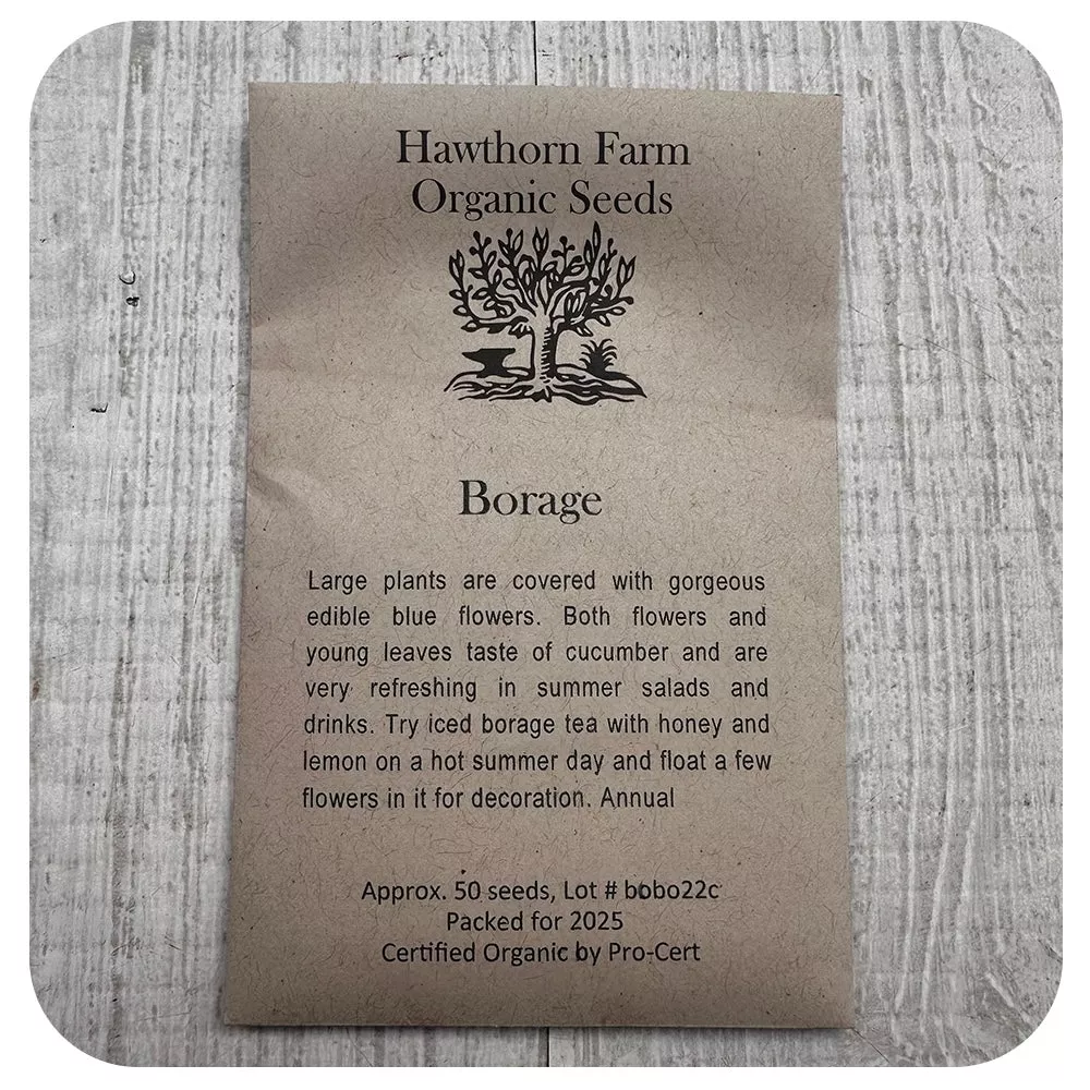 Borage Seeds - Hawthorne Farm (Organic)