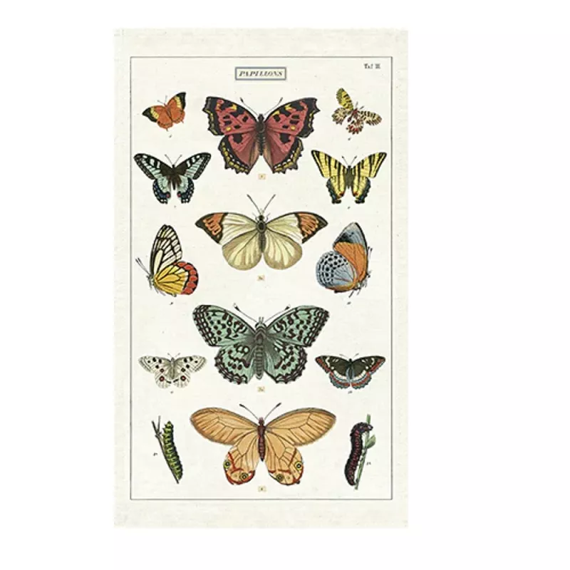 Cavallini & Co. Butterflies Cotton Tea Towel