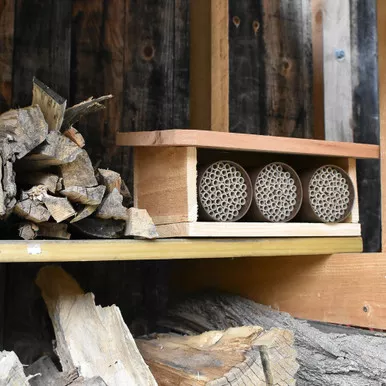 Cedar Bee Hotel -Kit