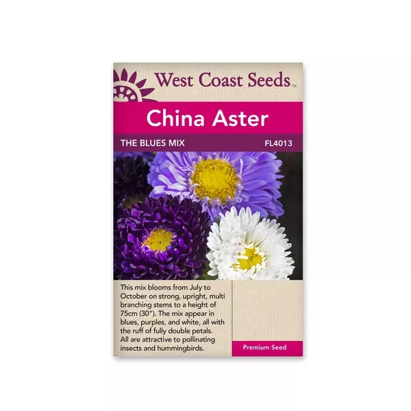 China Aster The Blues Mix