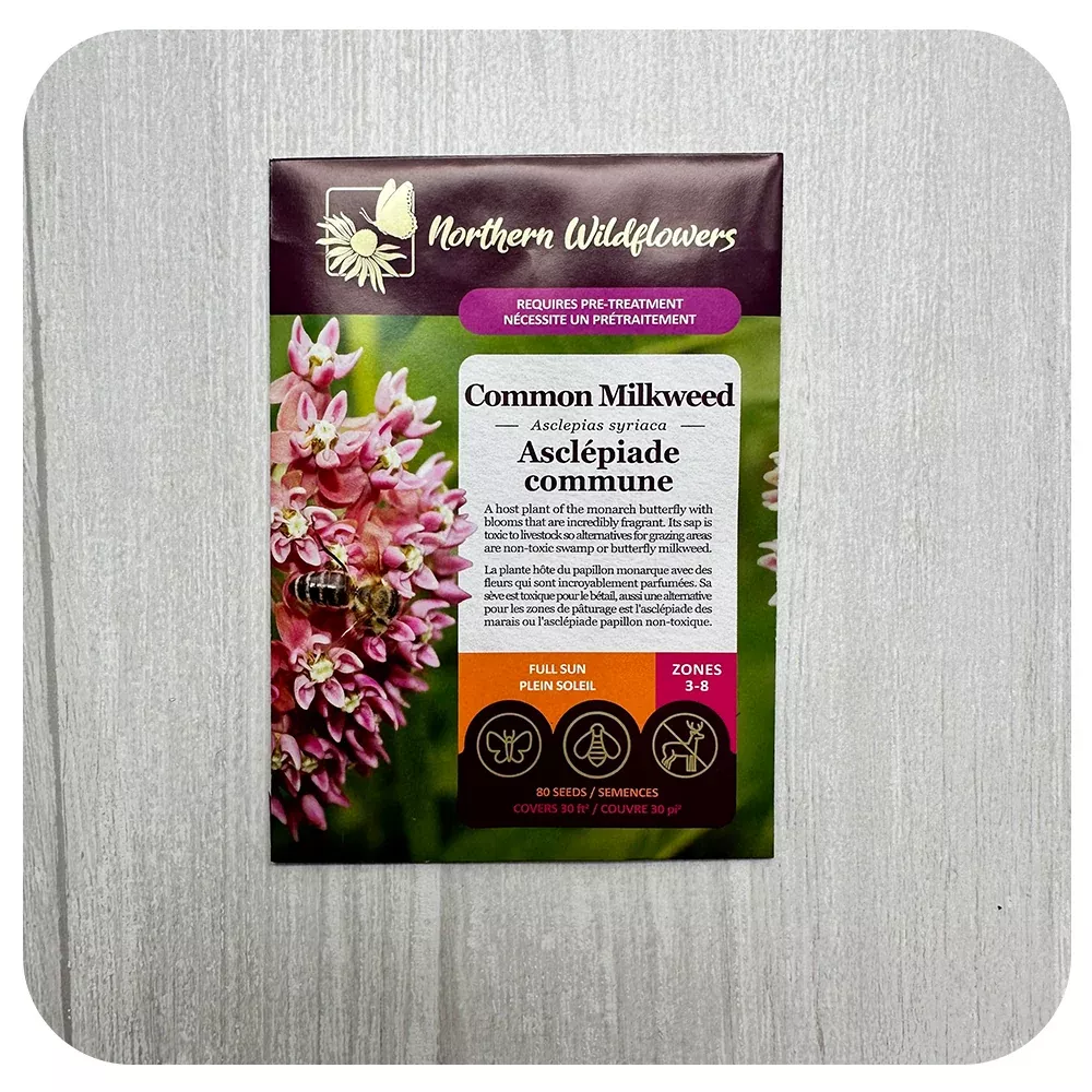 Common Milkweed Seeds (non-GMO/Chemical Free)