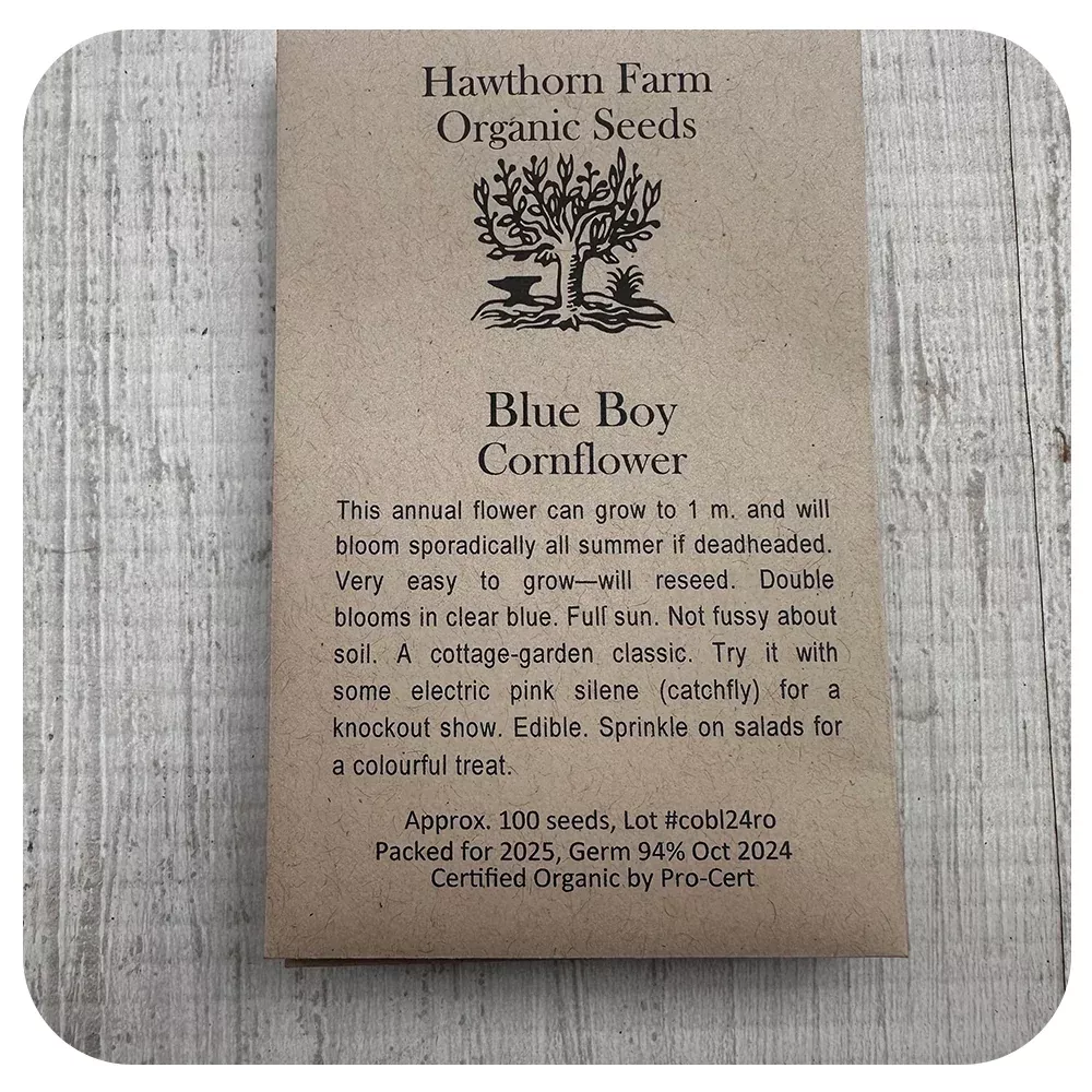 Cornflower Seeds- Hawthorne Farm (Organic)