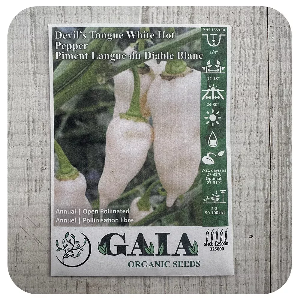 Devil's Tongue White Hot Pepper Seeds (Organic)