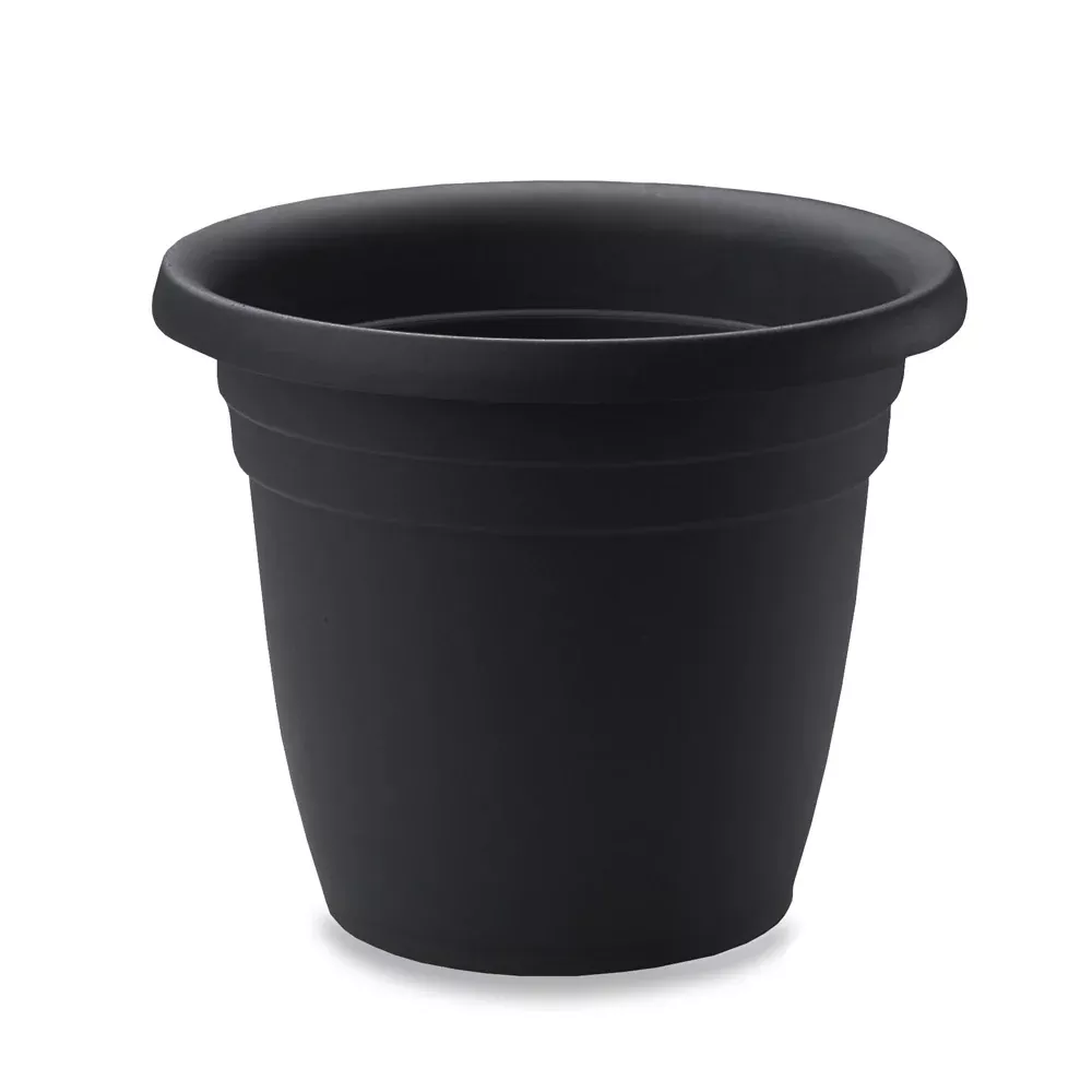 Emma 22" Black