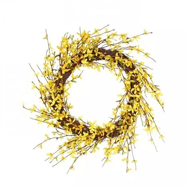 Forsythia Wreath 22in Everlasting