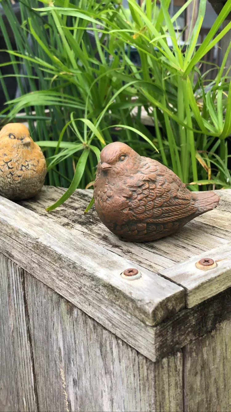 Garden Bird Stone3"