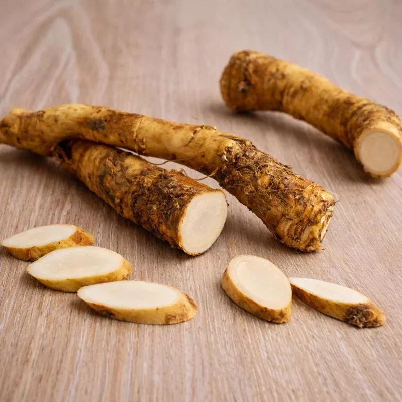 Horseradish Root Plant – 20 Count Bare Root, Spicy High-Yield Perennial
