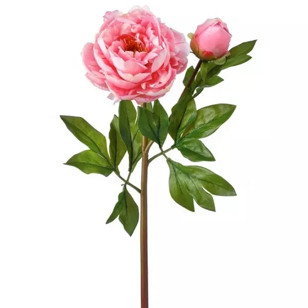 Just Cut Garden Peony and Bud Everlasting