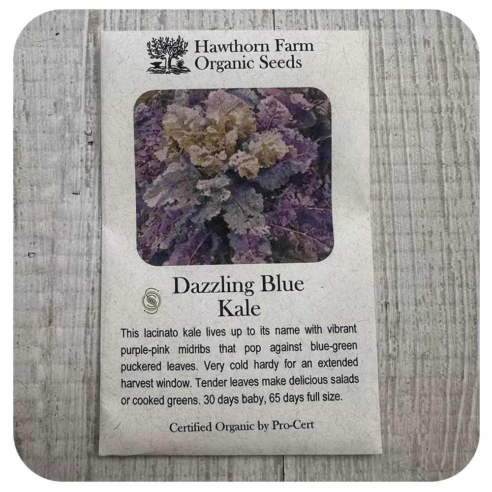 Kale - Dazzling Blue (Hawthorn Farm ORGANIC Seeds)