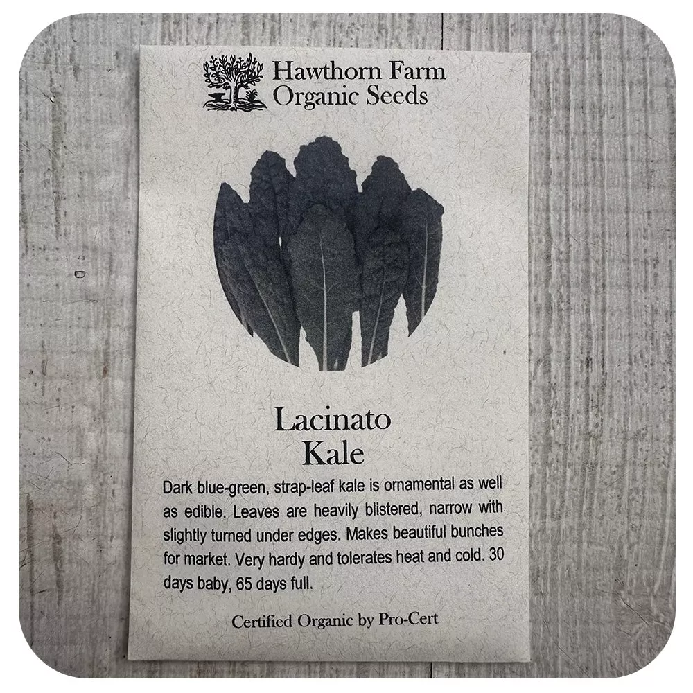 Kale- Lacinato (Hawthorn Farm ORGANIC Seeds)
