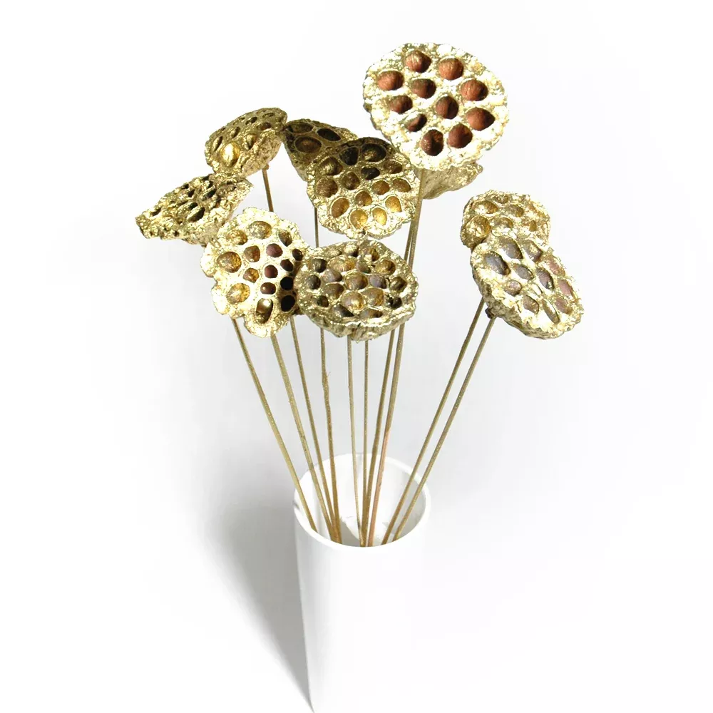 Lotus - Gold