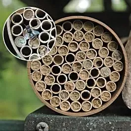 Mason Bee Nest 52 Tube