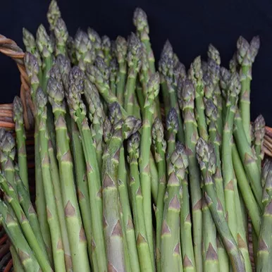 Millennium Asparagus