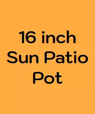 Mixed Sun 16″ Patio Pot