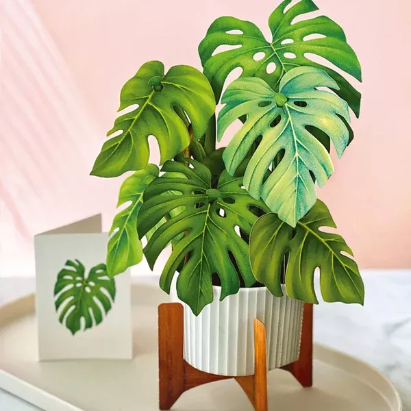 Monstera 3D Paper Plant And Card