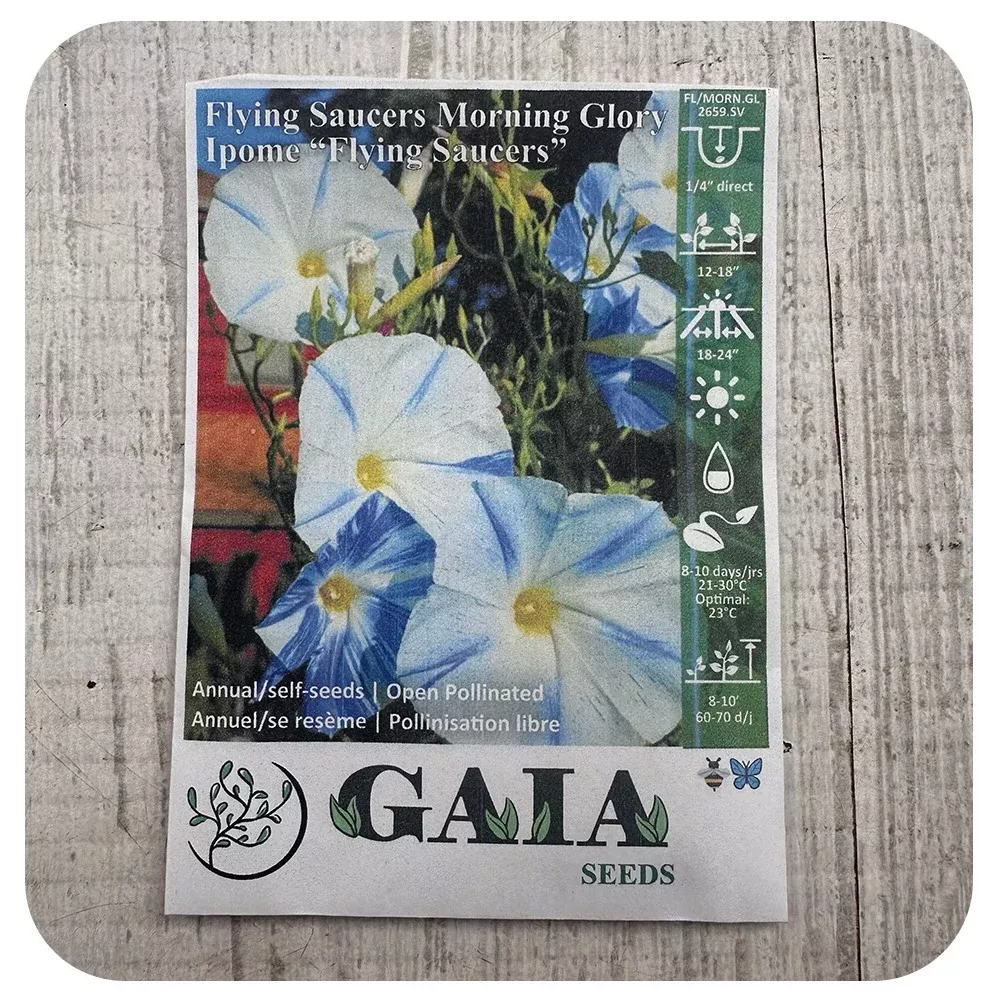 Morning Glory 'Flying Saucers' Seeds (Organic)