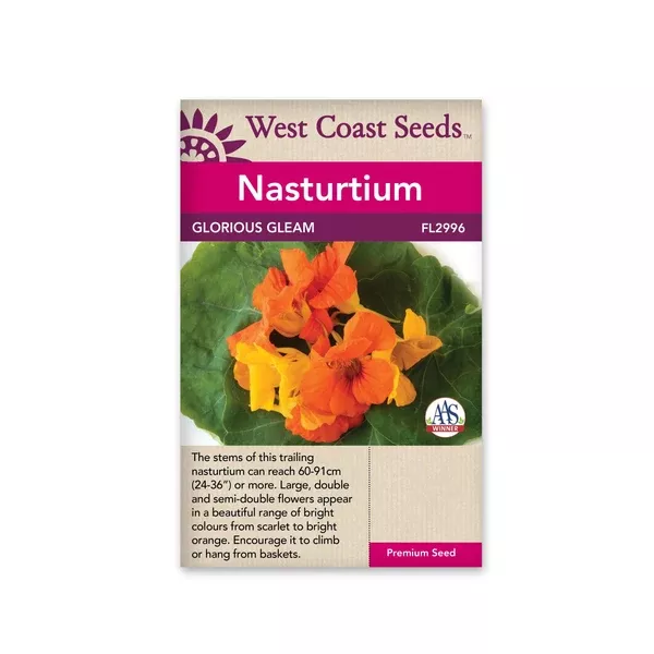 Nasturtiums Glorious Gleam