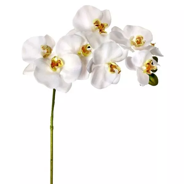Natural Touch Orchid Stem 34" Everlasting