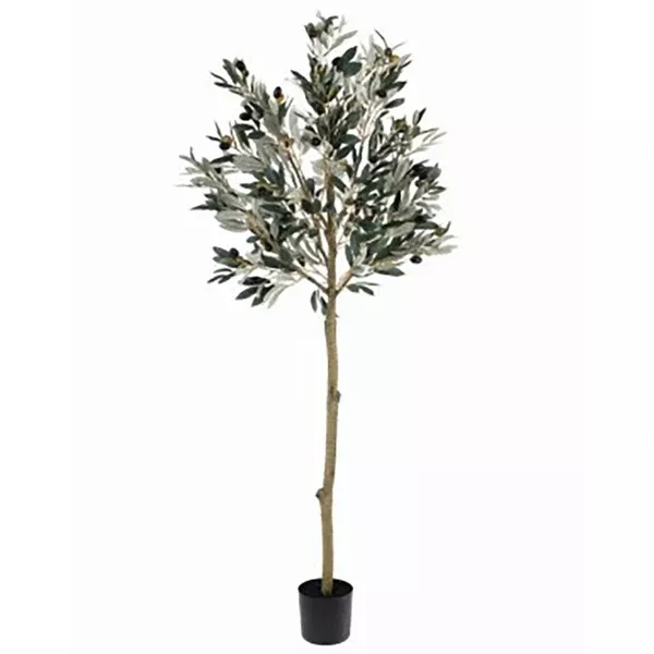Olive Leaf Topiary Everlasting
