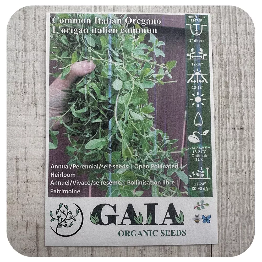 Oregano 'Italian' Seeds (Organic)
