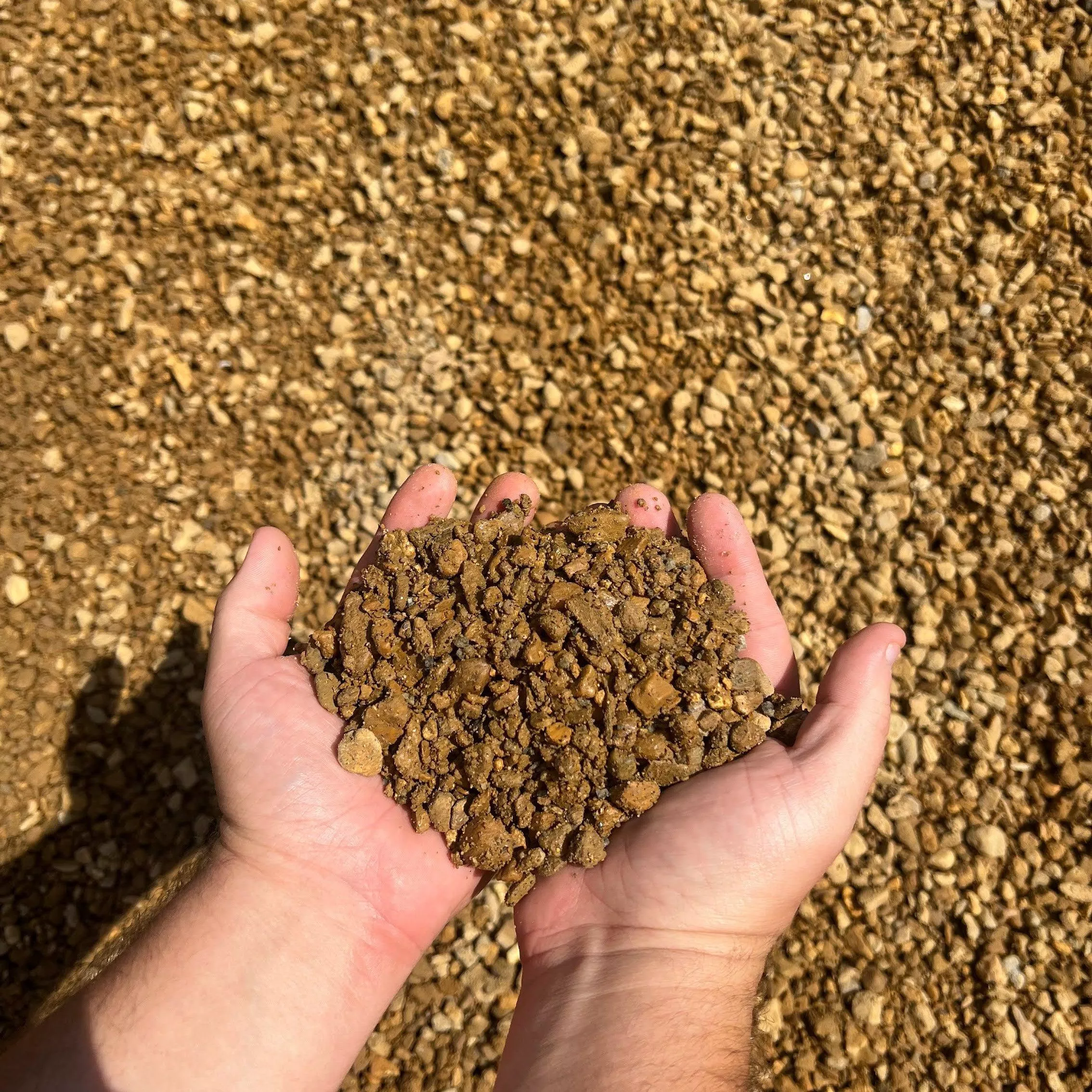 Pea Pebbles
