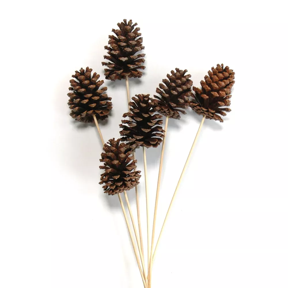 Pinecone on Stem - Natural