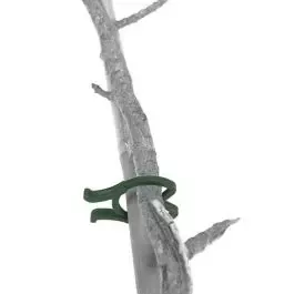 Plant Loops