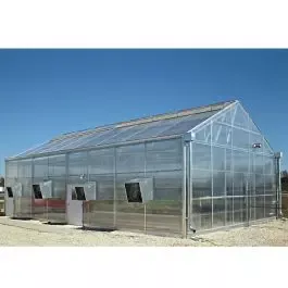 Polycarbonate Panel, 8mm Twin Wall, Clear, 4-Foot Width