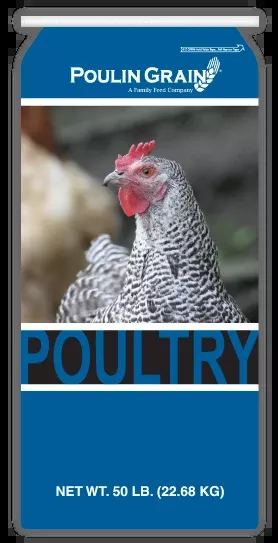 Poulin Grain Scratch Feed