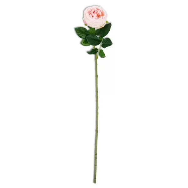 Real Touch Austin Rose Stem Pink Everlasting