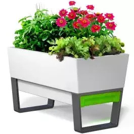 Self Watering Planter Box