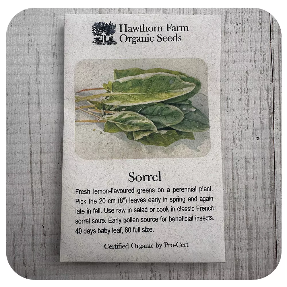 Sorrel (Hawthorn Farm ORGANIC Seeds)