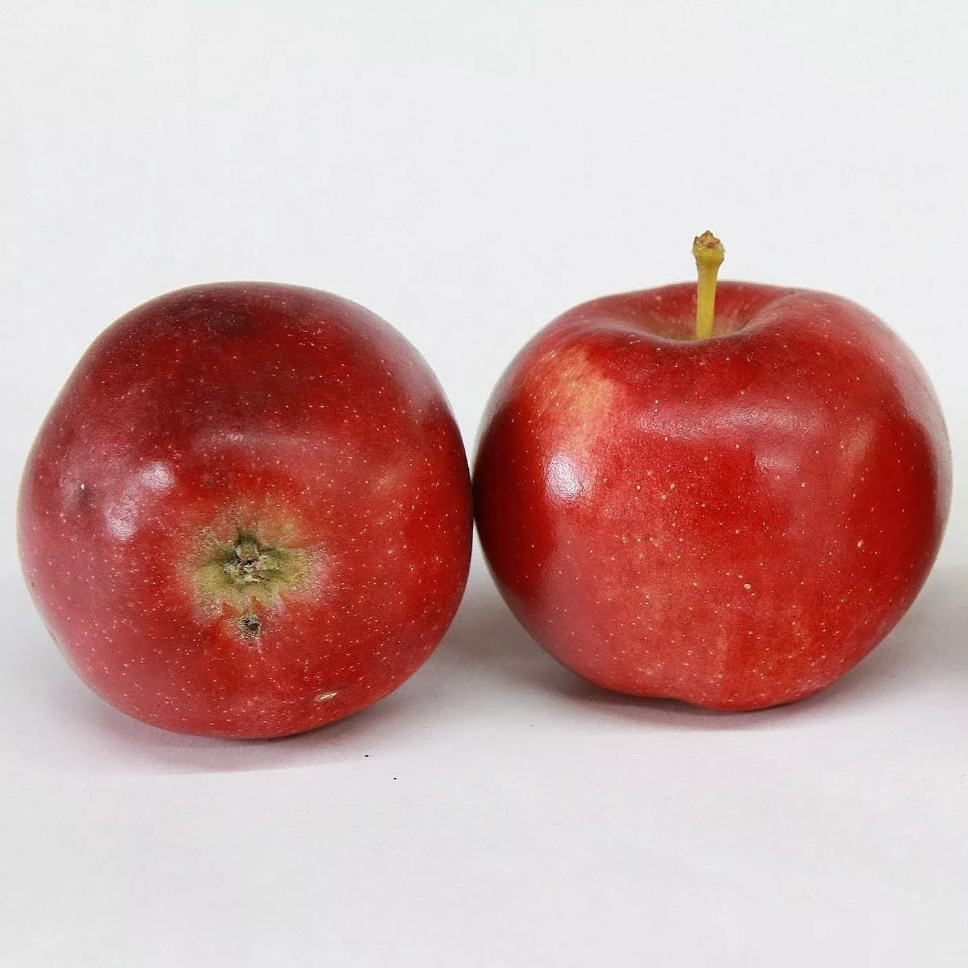 Spartan Apple