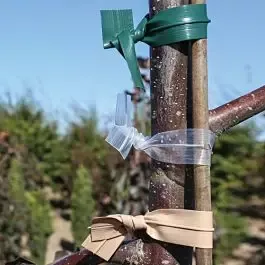 Stretch Ties Expandable Plastic