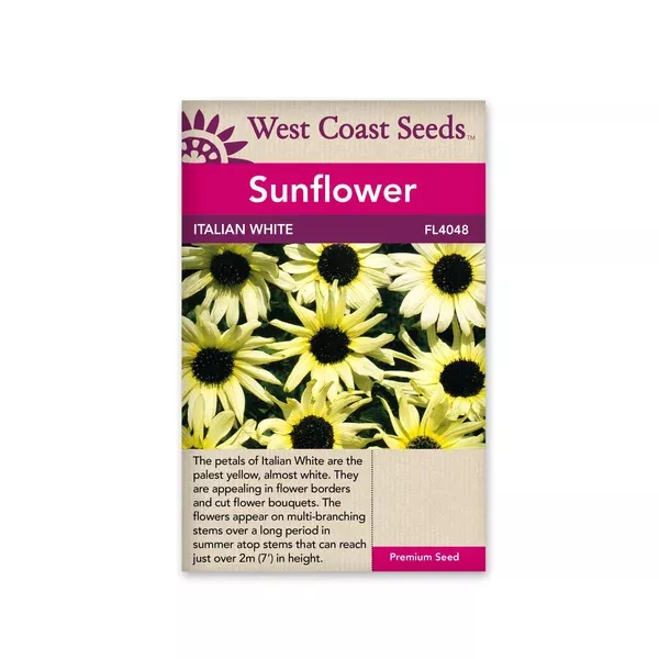 Sunflowers Italian White