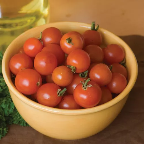 Sweet 100 Cherry Tomato