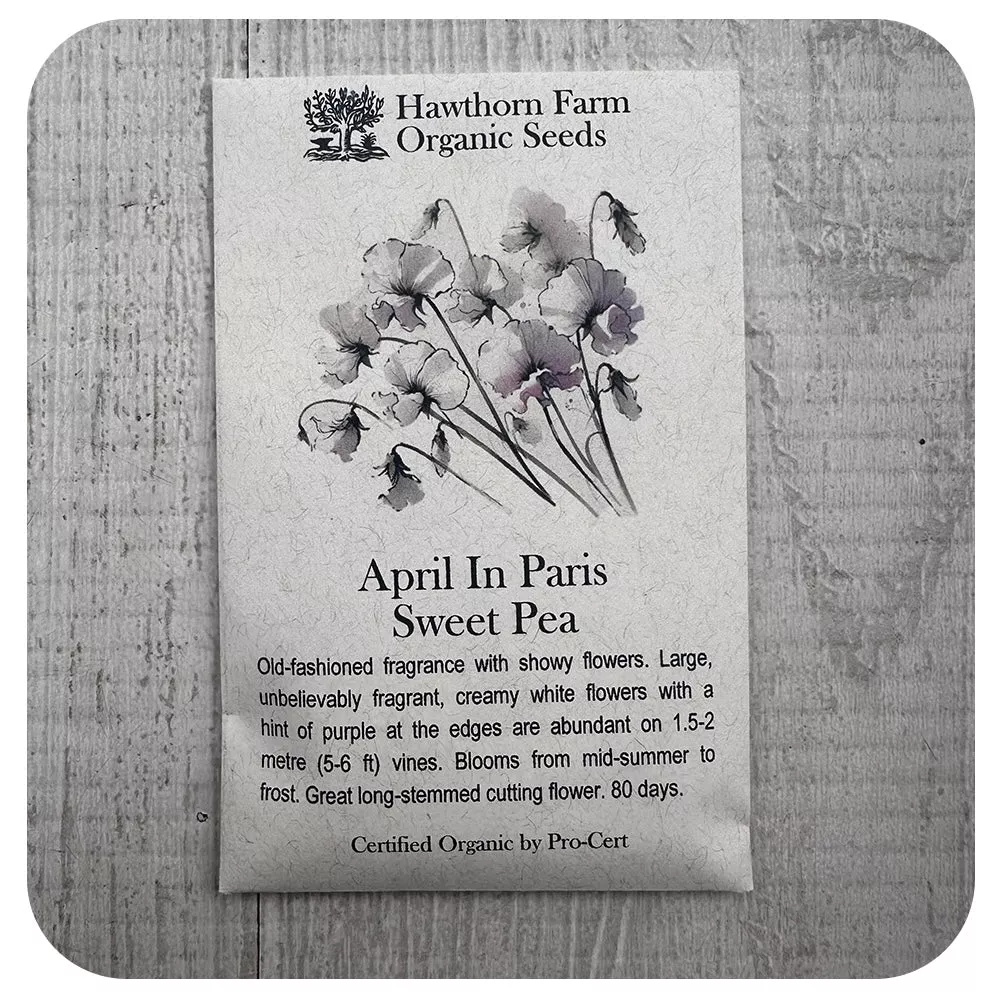 Sweet Pea- April in Paris (Hawthorn Farm ORGANIC Seeds)