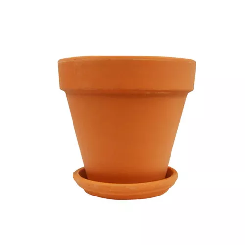 Terra Cotta Planters