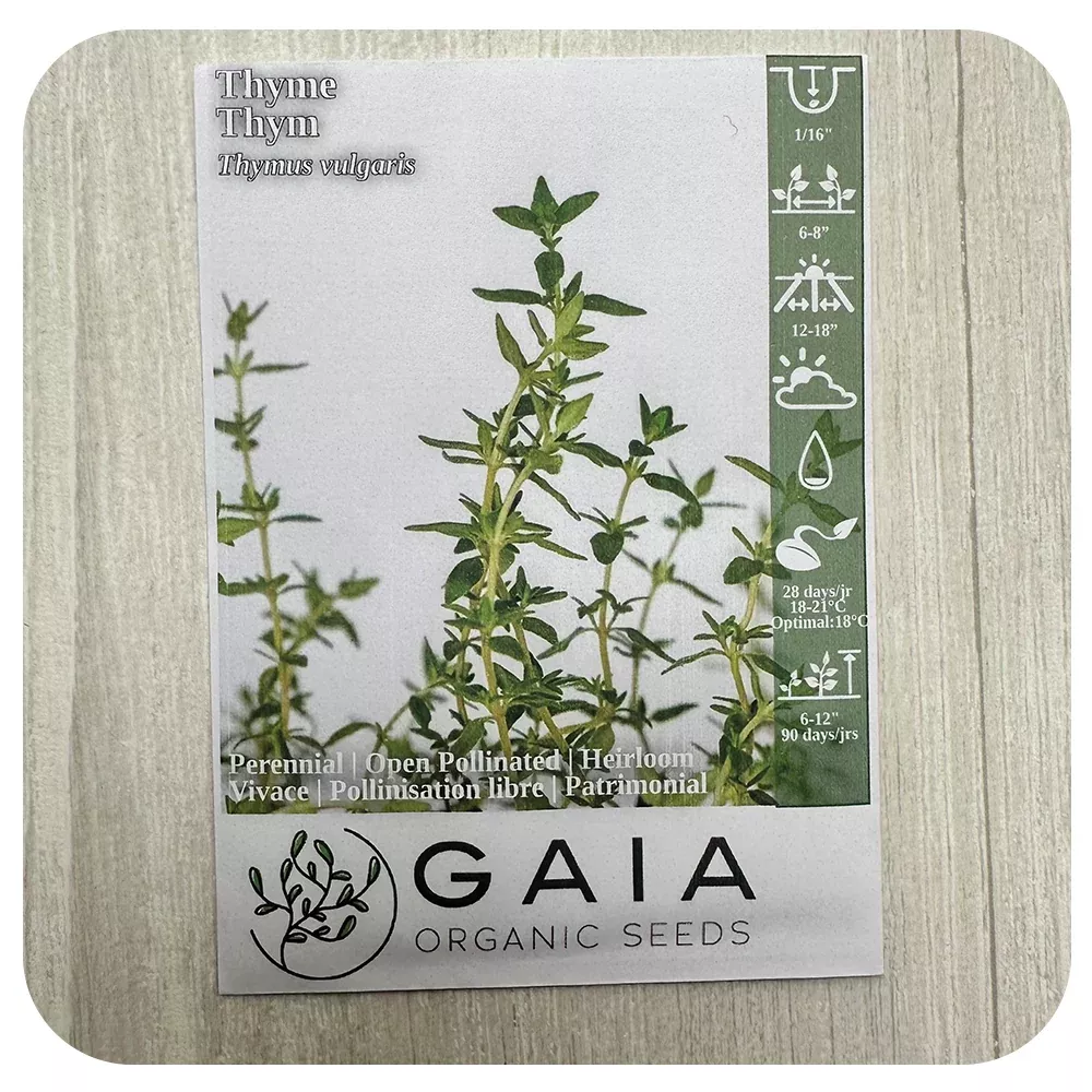 Thyme Seeds (Organic)