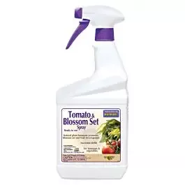 Tomato And Blossom Set Spray