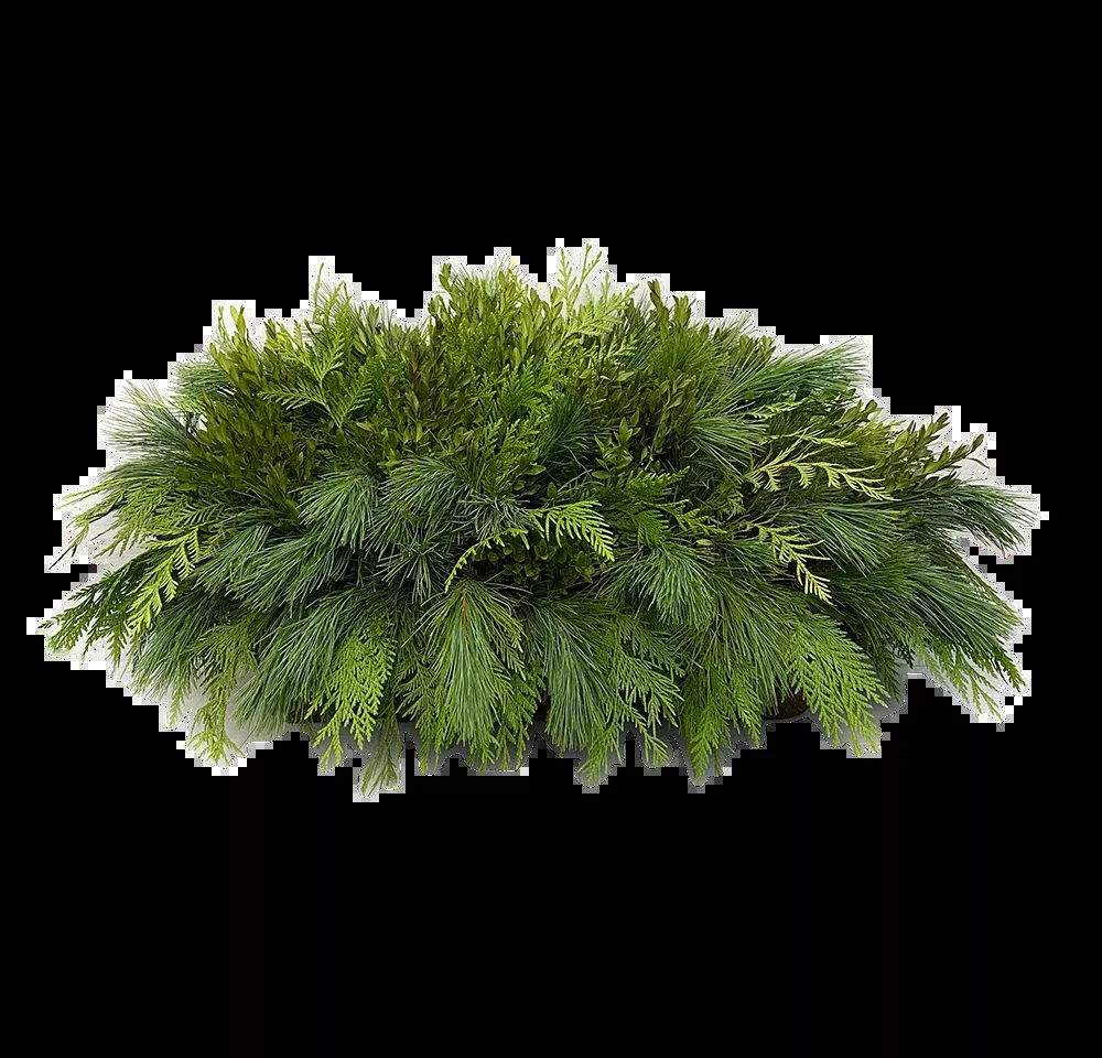 Window Box - Green Mix Boxwood