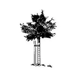 Wood Tree Stakes