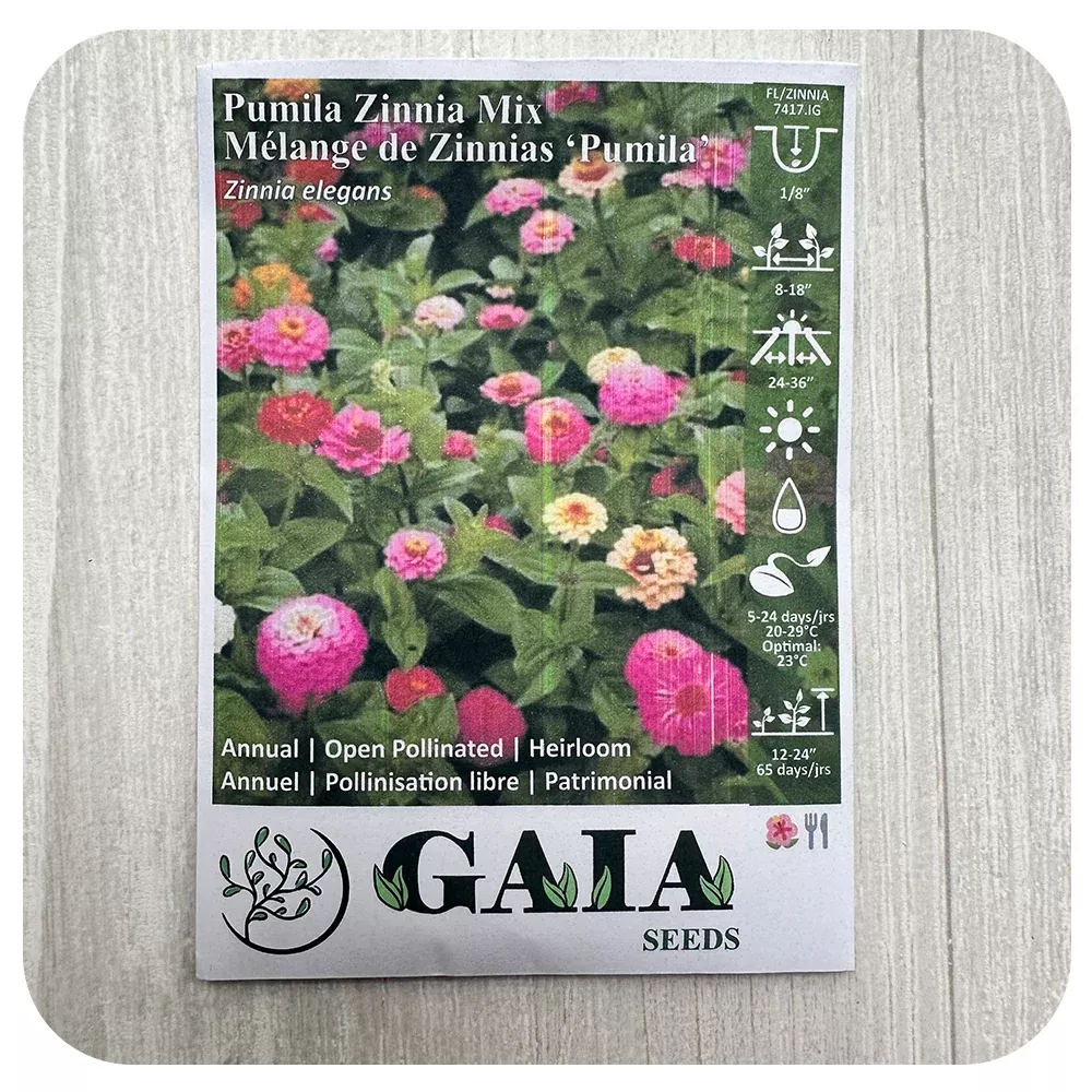 Zinnia Seeds (Organic)